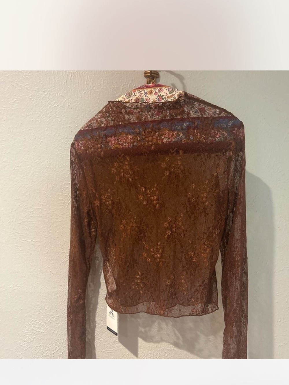 Sheer Brown Floral Lace Long-Sleeve Blouse
